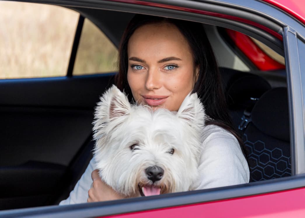 pet-service